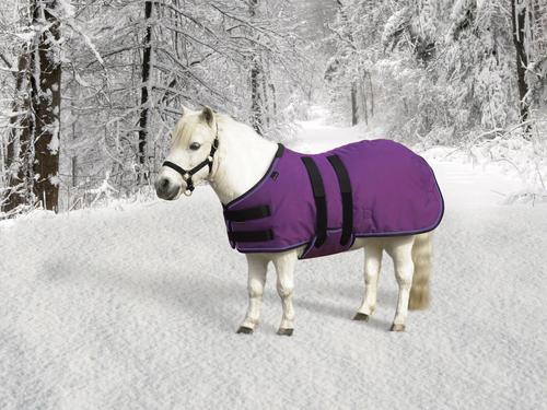 Show full view: Kensington Protective Products Signature Medium Weight Mini Horse Turnout Blanket, 42-in, Purple slide 1 of 1