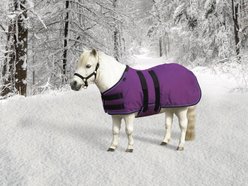 Kensington Protective Products Signature Medium Weight Mini Horse Turnout Blanket, 46-in, Purple