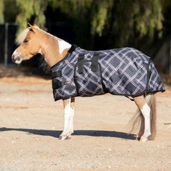 Kensington Protective Products Signature Medium Weight Mini Horse Turnout Blanket, 50-in, Deluxe Black