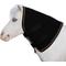 Show in main carousel: Kensington Protective Products Signature Mini Neck Warmer, Black slide 2 of 4