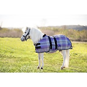 Kensington Protective Products Textilene Protective Mini Horse Fly Sheet, Lavender Mint, 42-in
