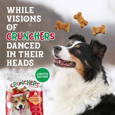 Show full view: Kent / Blue Seal Crunchers Holiday Pumpkins & Cranberry Dog Treats, 2-lb bag slide 4 of 4