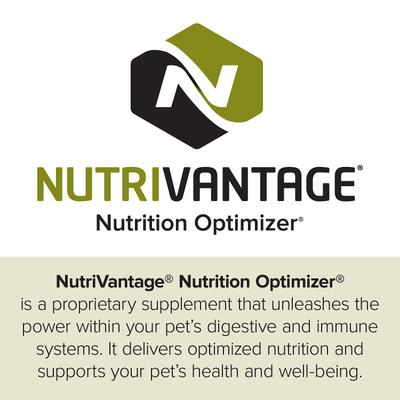 Show full view: Kent / Blue Seal EnTrust Chicken Meal Recipe No Soy or Wheat Dry Cat Food, 6-lb bag slide 5 of 7