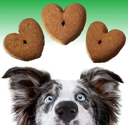 Show full view: Kent / Blue Seal EnTrust Crunchers Happy Health Crunchy Dog Treats, 2-lb bag slide 4 of 10