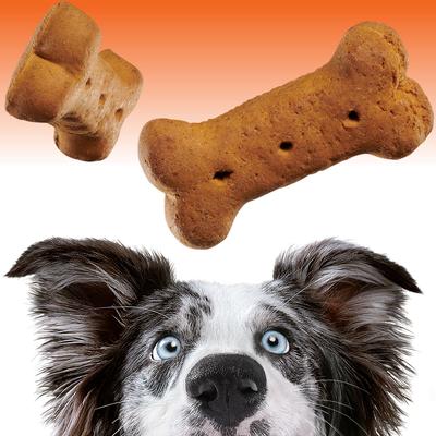 Show full view: Kent / Blue Seal EnTrust Crunchers Peanut Butter Crunchy Dog Treats, Medium, 3.5-lb bag slide 4 of 10