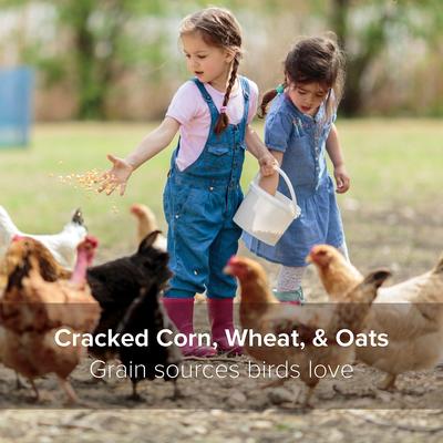 Show full view: Kent / Blue Seal Home Fresh 8% Protein Scratch Grains Poultry Food, 7-lb bag slide 4 of 7