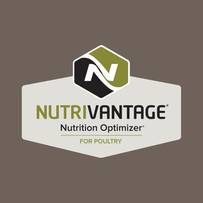 Show full view: Kent / Blue Seal Home Fresh Organic Chicken Grower 16% Protein Crumble Poultry Food, 40-lb bag slide 7 of 9