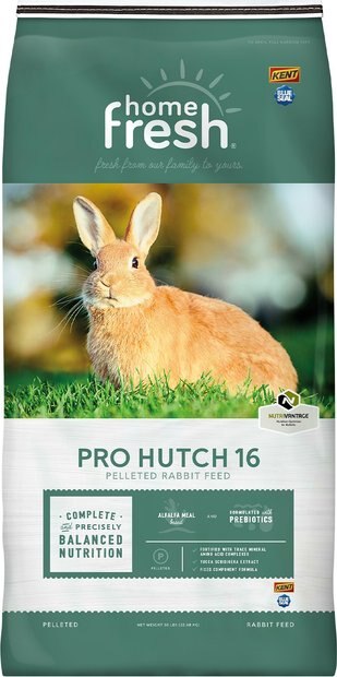 RABBIT FOOD PELLETS (Free Shipping) | Chewy