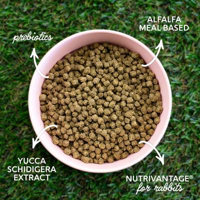 Show full view: Kent / Blue Seal Home Fresh Show Hutch Deluxe 17 Small Animal Food, 20-lb bag slide 4 of 10