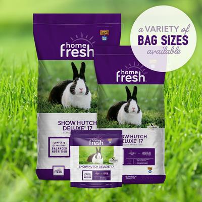 Show full view: Kent / Blue Seal Home Fresh Show Hutch Deluxe 17 Small Animal Food, 20-lb bag slide 6 of 10