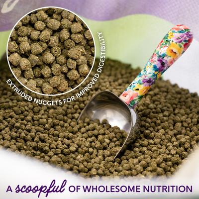 Show full view: Kent / Blue Seal Home Fresh Show Hutch Deluxe 17 Small Animal Food, 4.5-lb bag slide 3 of 10