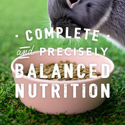 Show full view: Kent / Blue Seal Home Fresh Show Hutch Deluxe 17 Small Animal Food, 50-lb bag slide 5 of 10