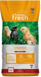 Kent / Blue Seal Home Fresh Starter AMP-Medicated 20% Protein Poultry Food, 50-lb bag