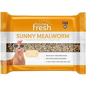 Kent / Blue Seal Home Fresh Sunny Mealworm Premium Poultry & Chicken Treat Bar, 1.6-lb block