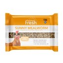 Kent / Blue Seal Home Fresh Sunny Mealworm Premium Poultry & Chicken Treat Bar, 1.6-lb block