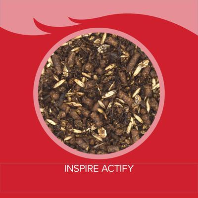 Show full view: Kent / Blue Seal Inspire Actify Horse Feed, 50-lb bag slide 3 of 8