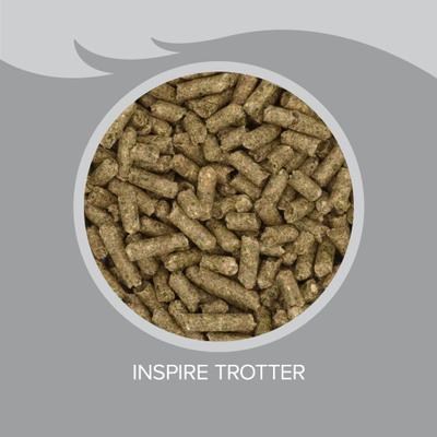 Show full view: Kent / Blue Seal Inspire Trotter Horse Feed, 50-lb bag slide 4 of 10