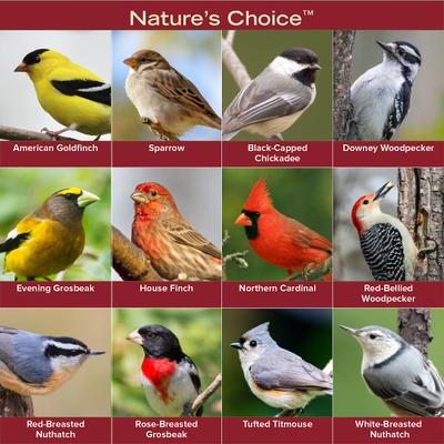 Show full view: Kent / Blue Seal Natures Choice Bird Food, 40-lb bag slide 7 of 10