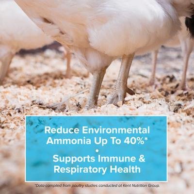 Show full view: Kent / Blue Seal NeutrailizerAir Farm Bedding & Litter Additive, 7-lb bag slide 4 of 5