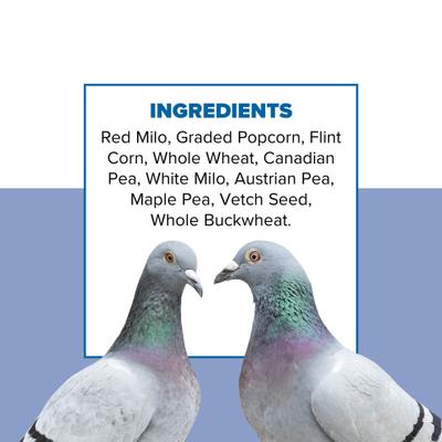Show full view: Kent / Blue Seal Pigeon Bird Food, 50-lb bag slide 5 of 7