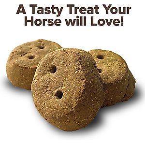 Kent / Blue Seal Rounders Spiced Apple Flavor Horse Treats, 30-oz bag
