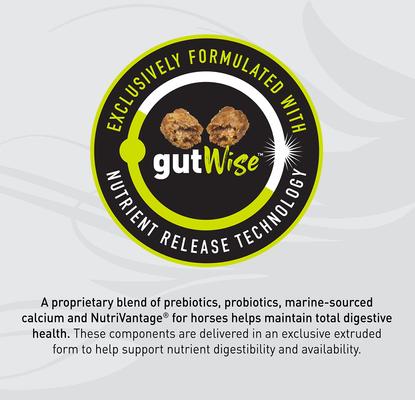 Show full view: Kent / Blue Seal Sentinel Active Senior Horse Feed, 50-lb bag slide 4 of 10