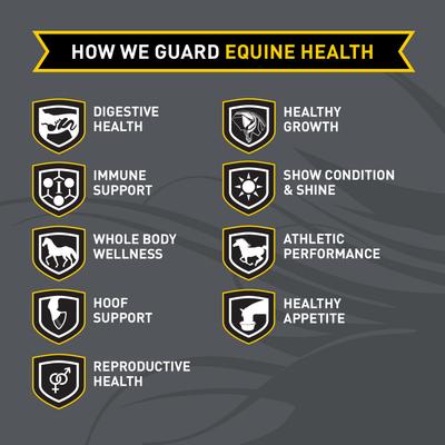 Show full view: Kent / Blue Seal Sentinel Care BrightLife Horse Feed, 25-lb bag slide 3 of 7