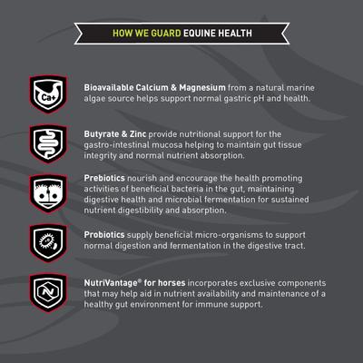 Show full view: Kent / Blue Seal Sentinel Care Gastric Support Horse Feed, 35-lb bag slide 3 of 10