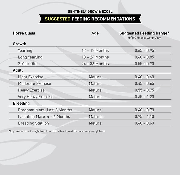 KENT / BLUE SEAL Sentinel Grow & Excel Horse Feed, 50lb bag