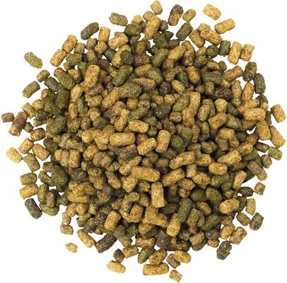 Show full view: Kent / Blue Seal Sentinel Grow & Excel Horse Feed, 50-lb bag slide 3 of 8