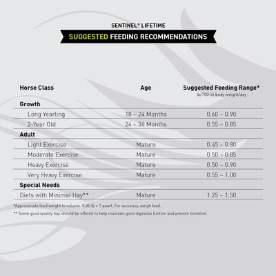 Show full view: Kent / Blue Seal Sentinel LifeTime Horse Feed, 50-lb bag slide 6 of 8