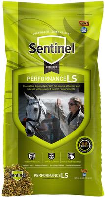 Show full view: Kent / Blue Seal Sentinel Performance LS Low Sugar Low Starch High Fat Horse Feed, 50-lb bag slide 1 of 10