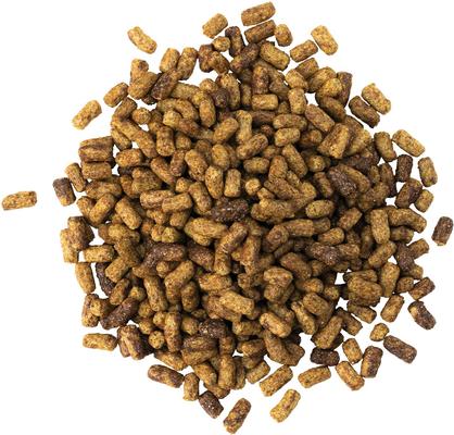 Show full view: Kent / Blue Seal Sentinel Safe Start Horse Feed, 50-lb bag slide 4 of 10