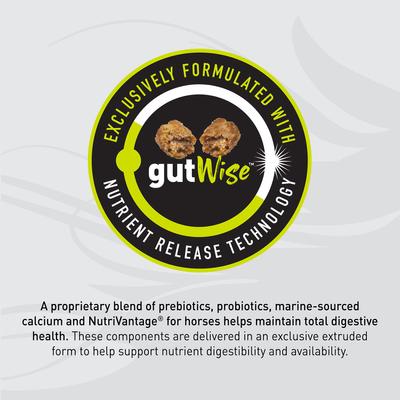 Show full view: Kent / Blue Seal Sentinel Safe Start Horse Feed, 50-lb bag slide 6 of 10