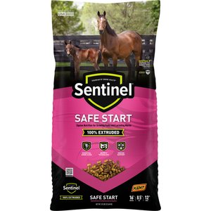 Kent / Blue Seal Sentinel Safe Start Horse Feed, 50-lb bag