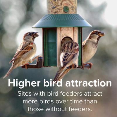 Show full view: Kent / Blue Seal Wild Finch Mix Bird Food, 20-lb bag slide 5 of 11