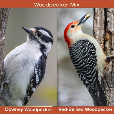Show full view: Kent / Blue Seal Woodpecker Mix Bird Food, 20-lb bag slide 7 of 10