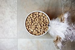 Ketogenic Pet Food Chicken Dry Dog & Cat Food, 18.5-oz canister slide 2 of 3