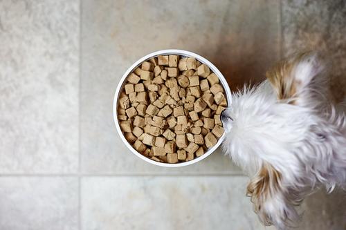 Show full view: Ketogenic Pet Food Chicken Dry Dog & Cat Food, 18.5-oz canister slide 3 of 4