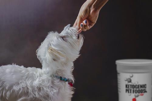 Show full view: Ketogenic Pet Food Chicken Dry Dog & Cat Food, 18.5-oz canister slide 4 of 4