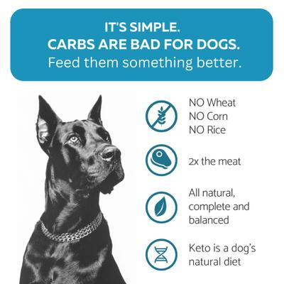 Show full view: KetoNatural Ketona Chicken Recipe Adult Dry Dog Food, 4.2-lb bag slide 4 of 10