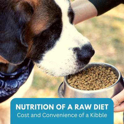 Show full view: KetoNatural Ketona Salmon Recipe Grain-Free Adult Dry Dog Food, 4.2-lb bag slide 8 of 10