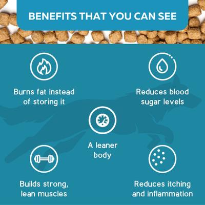 Show full view: KetoNatural Ketona Salmon Recipe Grain-Free Adult Dry Dog Food, 4.2-lb bag slide 9 of 10