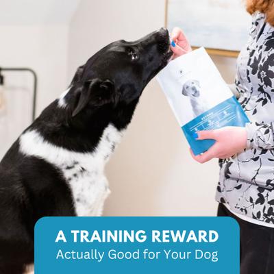 Show full view: KetoNatural Ketona Single Ingredient Chicken Liver Flavor Freeze-Dried Dog Treats, 2-oz bag slide 8 of 10