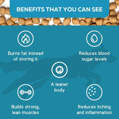 Show full view: KetoNatural Ketona Single Ingredient Chicken Liver Flavor Freeze-Dried Dog Treats, 2-oz bag slide 10 of 10