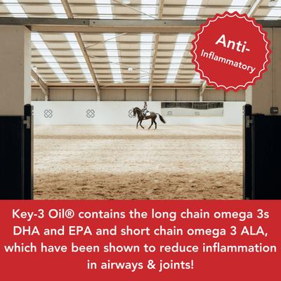 Show full view: Keyflow Feeds Key 3 Oil High Fat Horse Feed, 5-liter jug slide 6 of 7