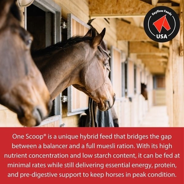 Keyflow USA One Scoop Pre-Digested Hybrid Muesli Horse Feed, 33-lb bag