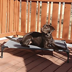 K&H Pet Products All Weather Outdoor Elevated Cot Dog Bed, Gray, Large