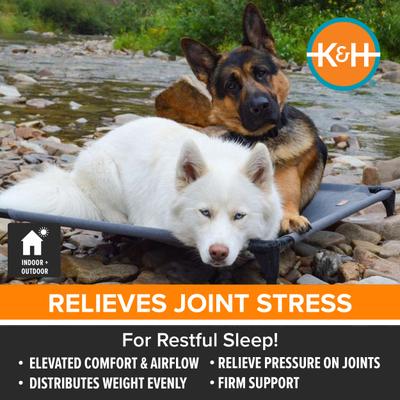 Show full view: K&H Pet Products All Weather Outdoor Elevated Cot Dog Bed, Gray, Large slide 3 of 12