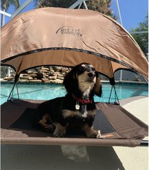 K&H Pet Products Canopy Add on for Elevated Dog Bed, Tan, Small